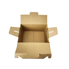 Caixa papelão p/ Transporte Alimentos marmitas / feijoada PRETA  (28 x 19 x 16,5 cm) - 50 unidades